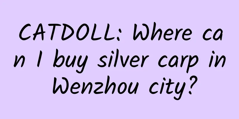 CATDOLL: Where can I buy silver carp in Wenzhou city?
