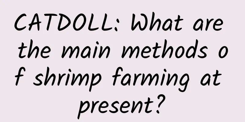 CATDOLL: What are the main methods of shrimp farming at present?