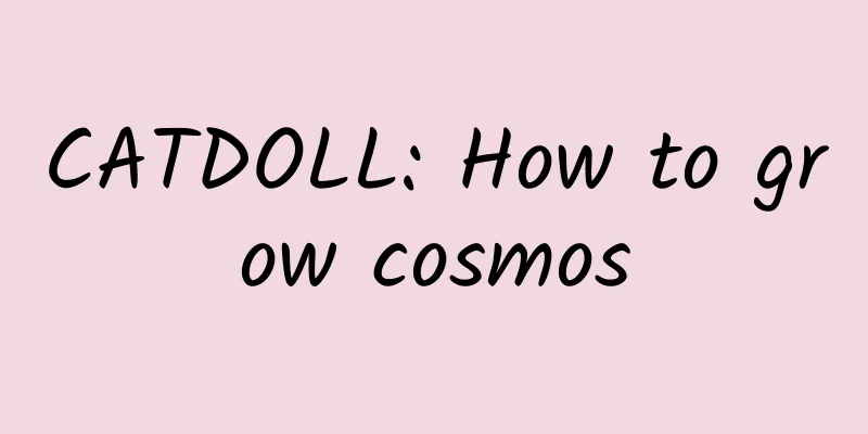 CATDOLL: How to grow cosmos