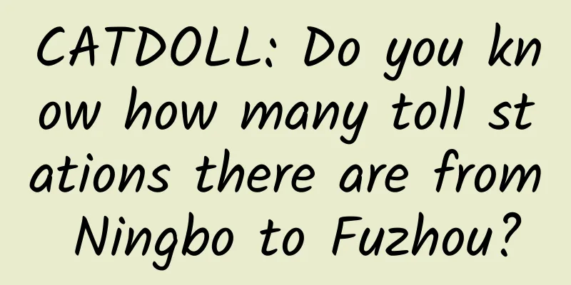 CATDOLL: Do you know how many toll stations there are from Ningbo to Fuzhou?