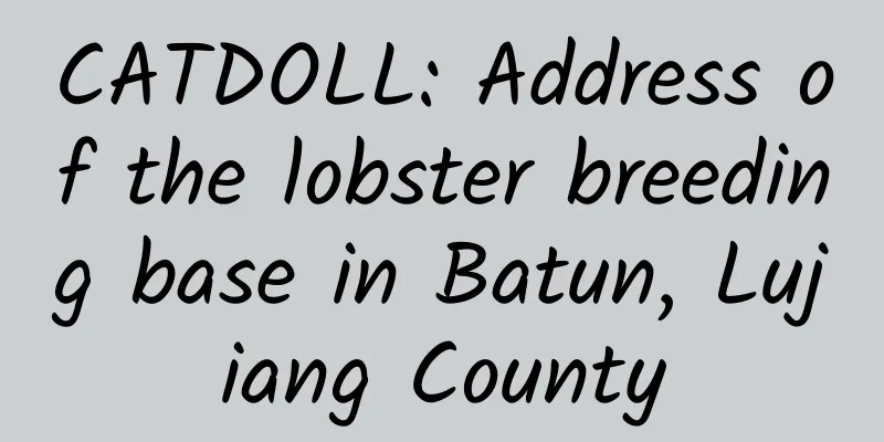 CATDOLL: Address of the lobster breeding base in Batun, Lujiang County