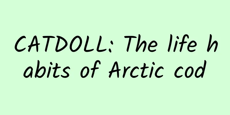 CATDOLL: The life habits of Arctic cod