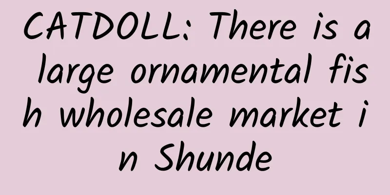 CATDOLL: There is a large ornamental fish wholesale market in Shunde