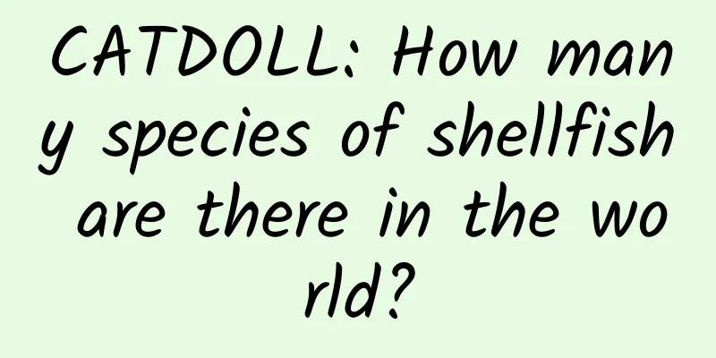 CATDOLL: How many species of shellfish are there in the world?
