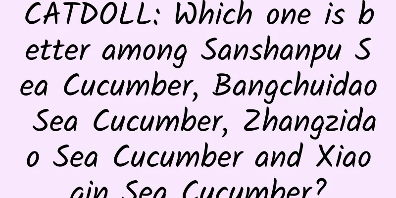 CATDOLL: Which one is better among Sanshanpu Sea Cucumber, Bangchuidao Sea Cucumber, Zhangzidao Sea Cucumber and Xiaoqin Sea Cucumber?