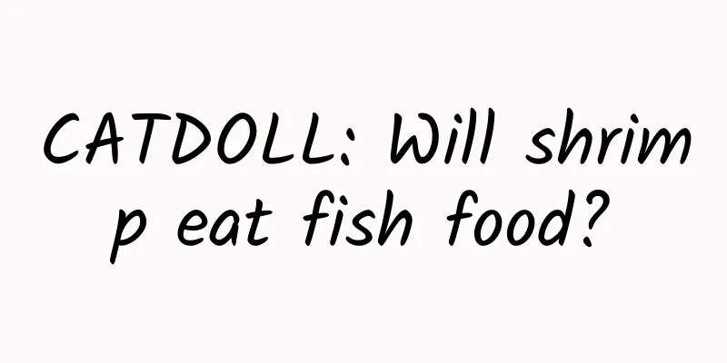 CATDOLL: Will shrimp eat fish food?