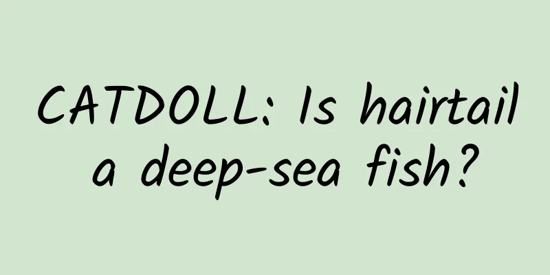 CATDOLL: Is hairtail a deep-sea fish?