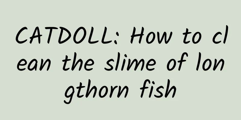 CATDOLL: How to clean the slime of longthorn fish