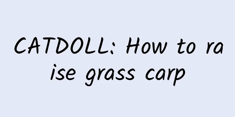 CATDOLL: How to raise grass carp