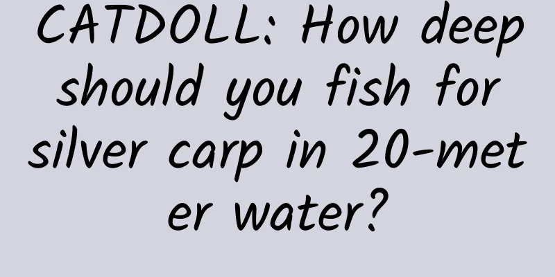 CATDOLL: How deep should you fish for silver carp in 20-meter water?