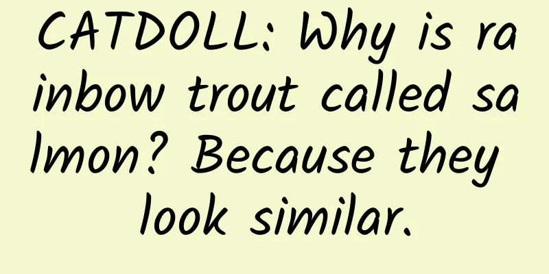 CATDOLL: Why is rainbow trout called salmon? Because they look similar.