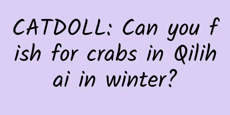 CATDOLL: Can you fish for crabs in Qilihai in winter?