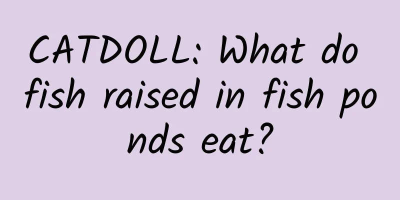 CATDOLL: What do fish raised in fish ponds eat?