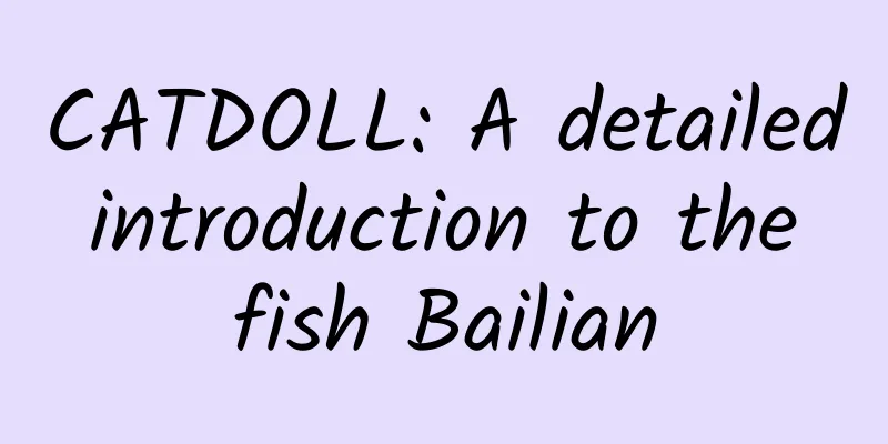 CATDOLL: A detailed introduction to the fish Bailian