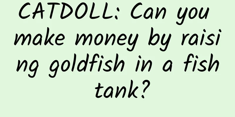 CATDOLL: Can you make money by raising goldfish in a fish tank?