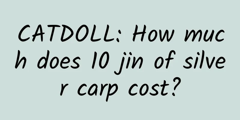 CATDOLL: How much does 10 jin of silver carp cost?