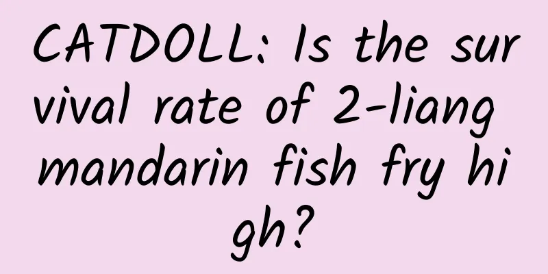CATDOLL: Is the survival rate of 2-liang mandarin fish fry high?