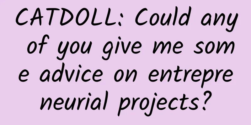 CATDOLL: Could any of you give me some advice on entrepreneurial projects?