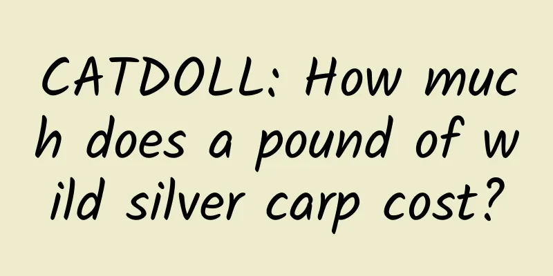 CATDOLL: How much does a pound of wild silver carp cost?
