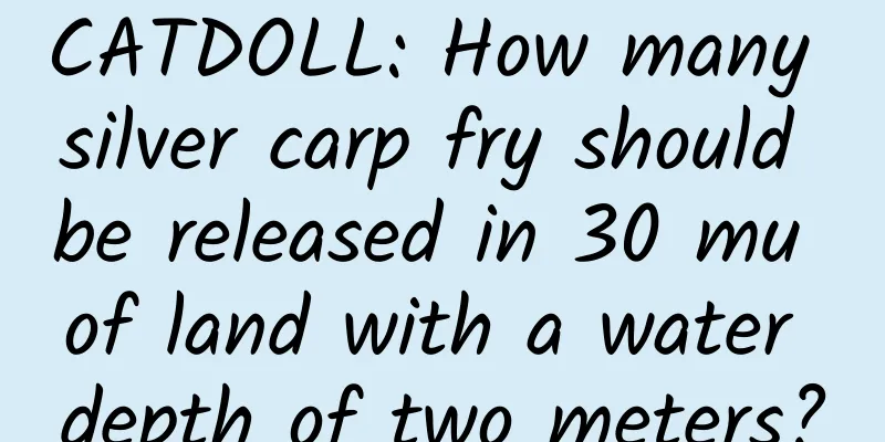 CATDOLL: How many silver carp fry should be released in 30 mu of land with a water depth of two meters?