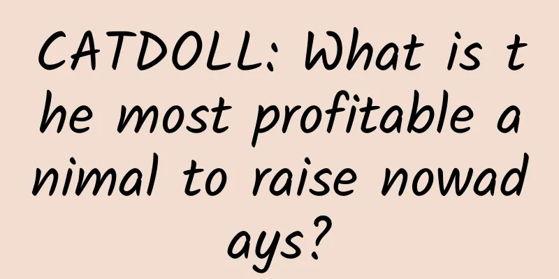 CATDOLL: What is the most profitable animal to raise nowadays?
