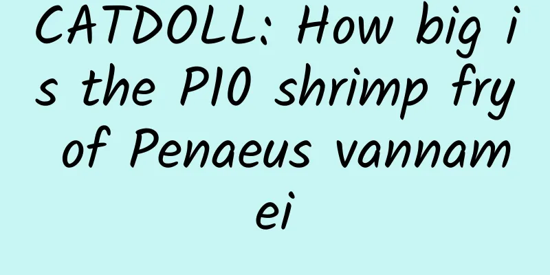 CATDOLL: How big is the P10 shrimp fry of Penaeus vannamei
