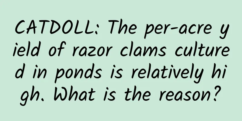 CATDOLL: The per-acre yield of razor clams cultured in ponds is relatively high. What is the reason?