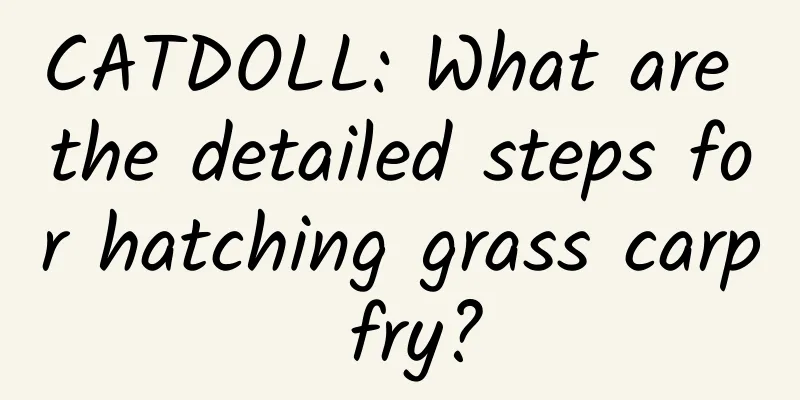CATDOLL: What are the detailed steps for hatching grass carp fry?