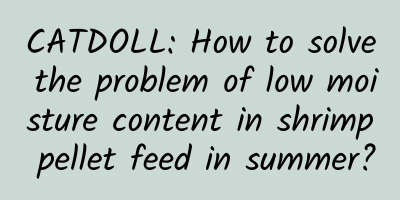 CATDOLL: How to solve the problem of low moisture content in shrimp pellet feed in summer?
