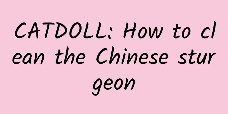 CATDOLL: How to clean the Chinese sturgeon