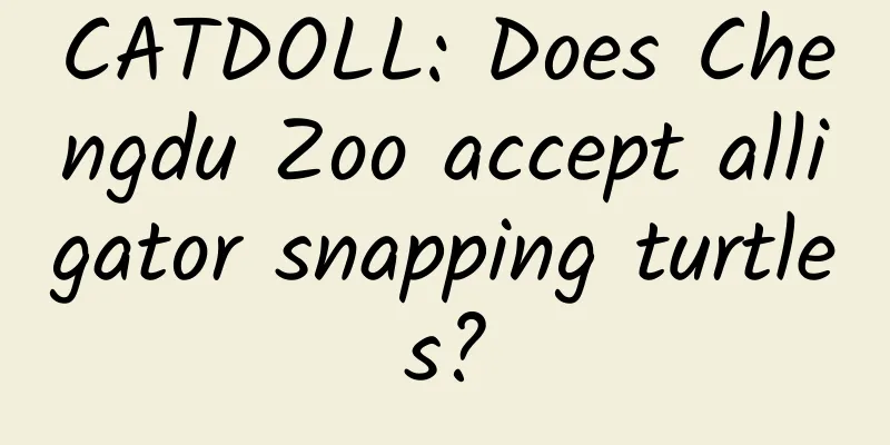 CATDOLL: Does Chengdu Zoo accept alligator snapping turtles?