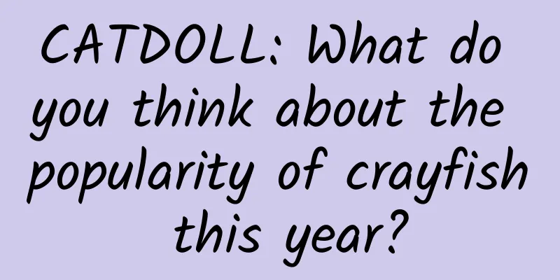 CATDOLL: What do you think about the popularity of crayfish this year?