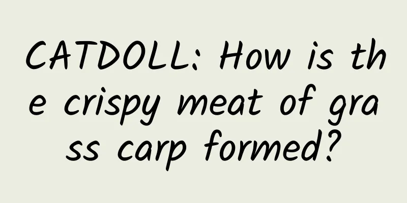 CATDOLL: How is the crispy meat of grass carp formed?
