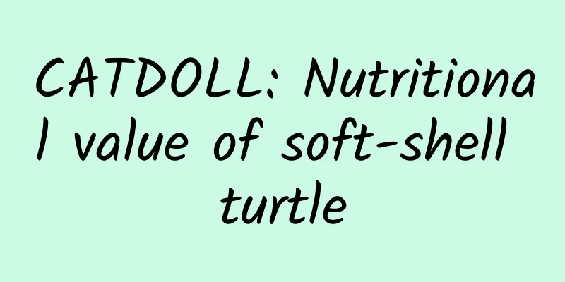 CATDOLL: Nutritional value of soft-shell turtle