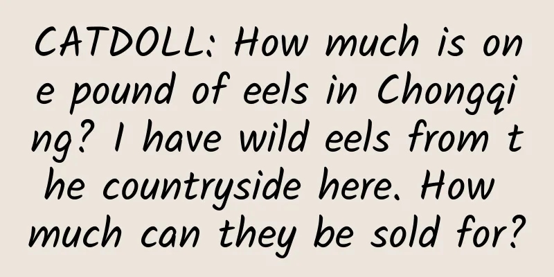 CATDOLL: How much is one pound of eels in Chongqing? I have wild eels from the countryside here. How much can they be sold for?