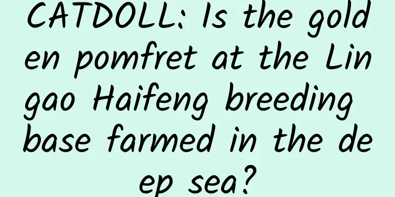 CATDOLL: Is the golden pomfret at the Lingao Haifeng breeding base farmed in the deep sea?
