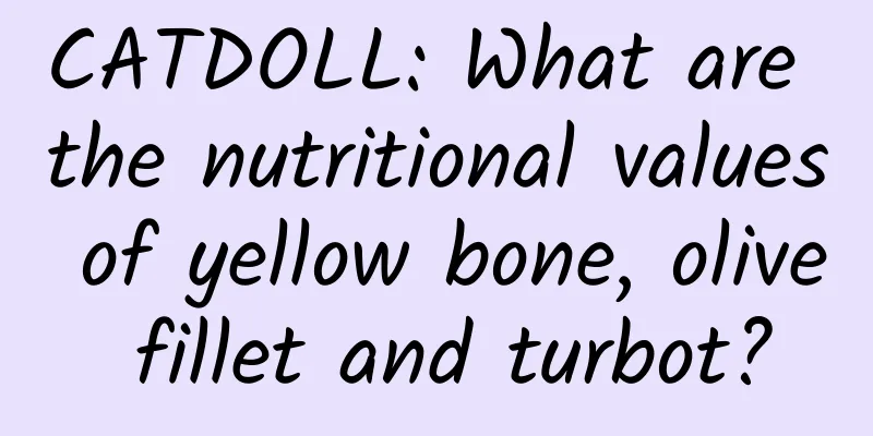 CATDOLL: What are the nutritional values ​​of yellow bone, olive fillet and turbot?