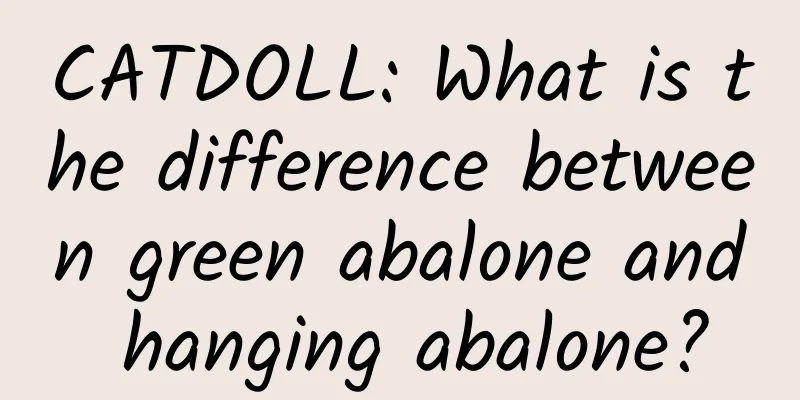 CATDOLL: What is the difference between green abalone and hanging abalone?