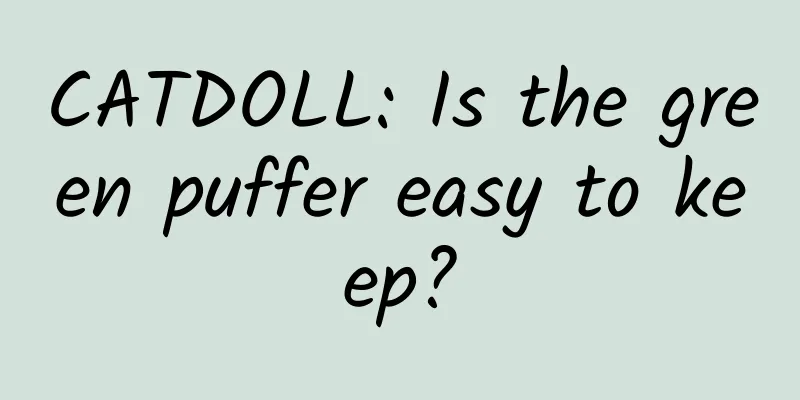 CATDOLL: Is the green puffer easy to keep?