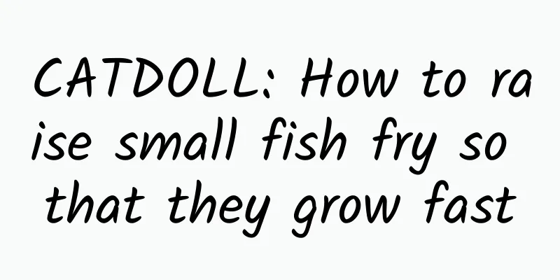 CATDOLL: How to raise small fish fry so that they grow fast