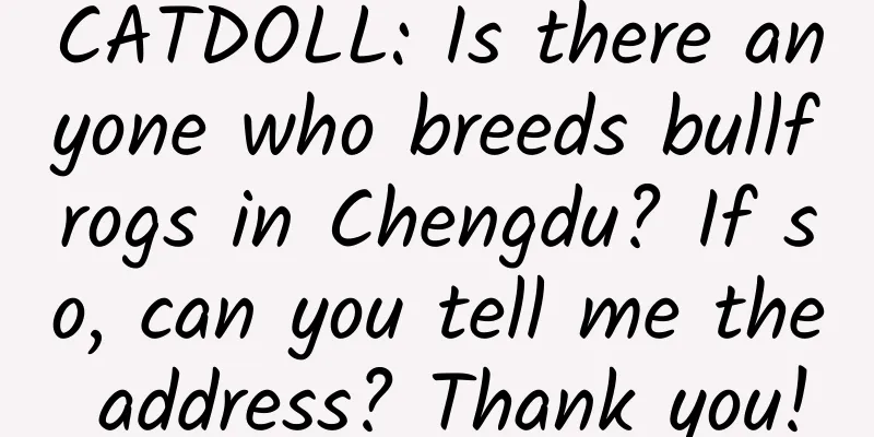 CATDOLL: Is there anyone who breeds bullfrogs in Chengdu? If so, can you tell me the address? Thank you!