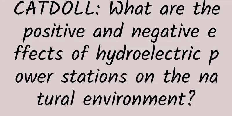 CATDOLL: What are the positive and negative effects of hydroelectric power stations on the natural environment?