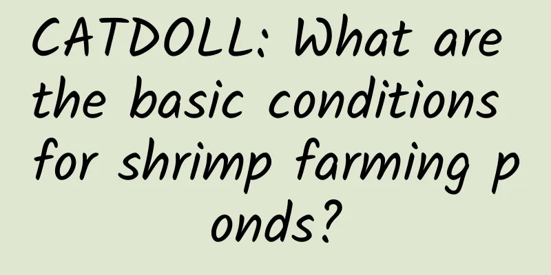 CATDOLL: What are the basic conditions for shrimp farming ponds?