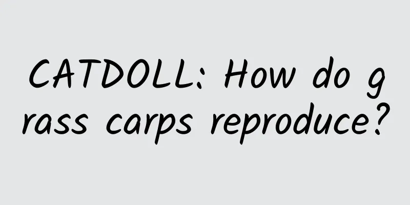 CATDOLL: How do grass carps reproduce?