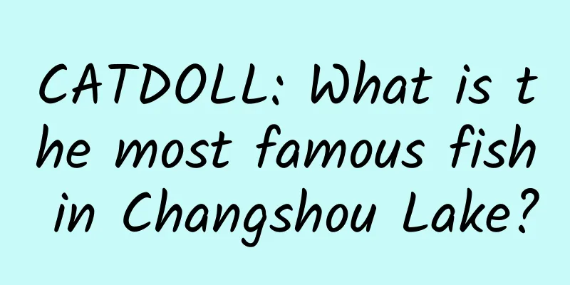 CATDOLL: What is the most famous fish in Changshou Lake?