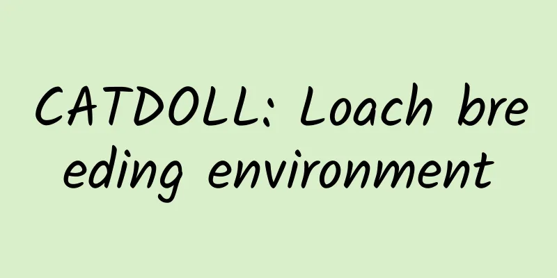 CATDOLL: Loach breeding environment