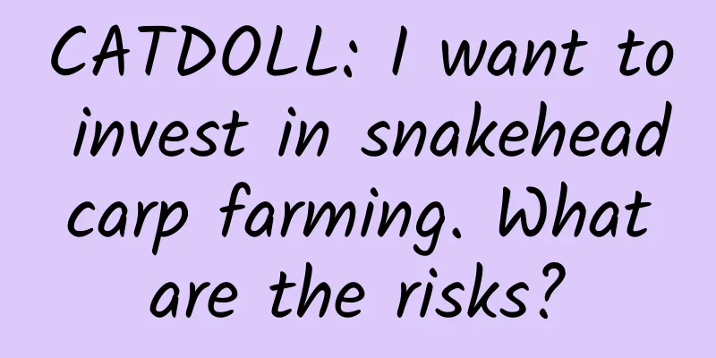 CATDOLL: I want to invest in snakehead carp farming. What are the risks?