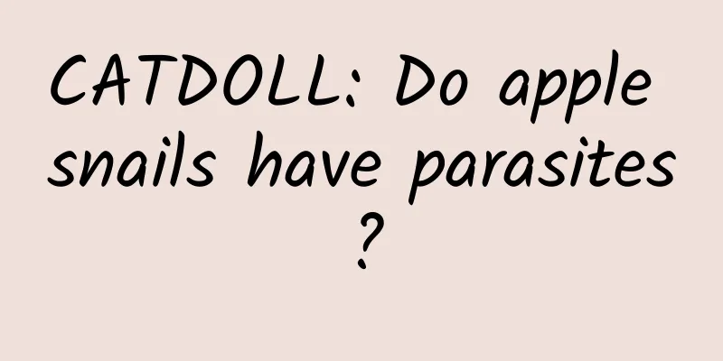 CATDOLL: Do apple snails have parasites?