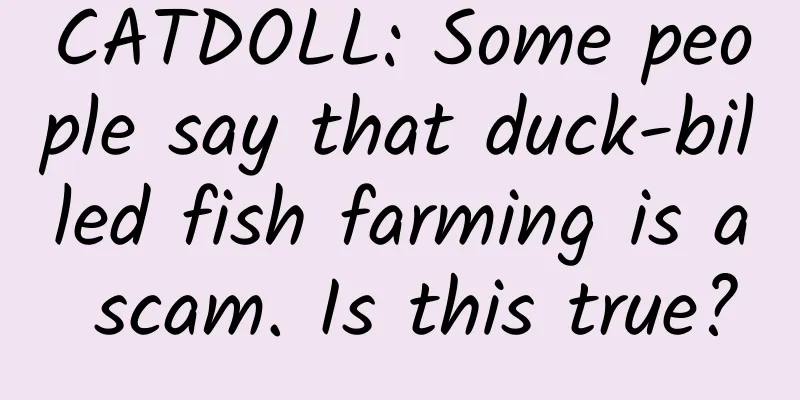 CATDOLL: Some people say that duck-billed fish farming is a scam. Is this true?