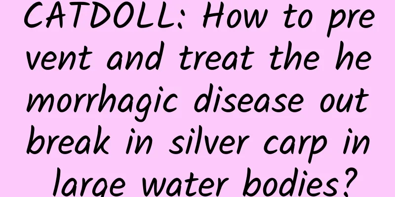CATDOLL: How to prevent and treat the hemorrhagic disease outbreak in silver carp in large water bodies?